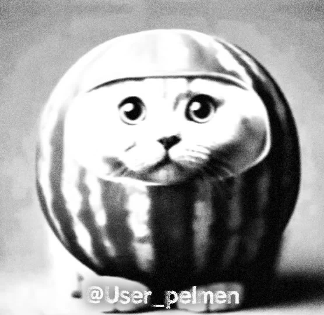 @Пельмень🥟