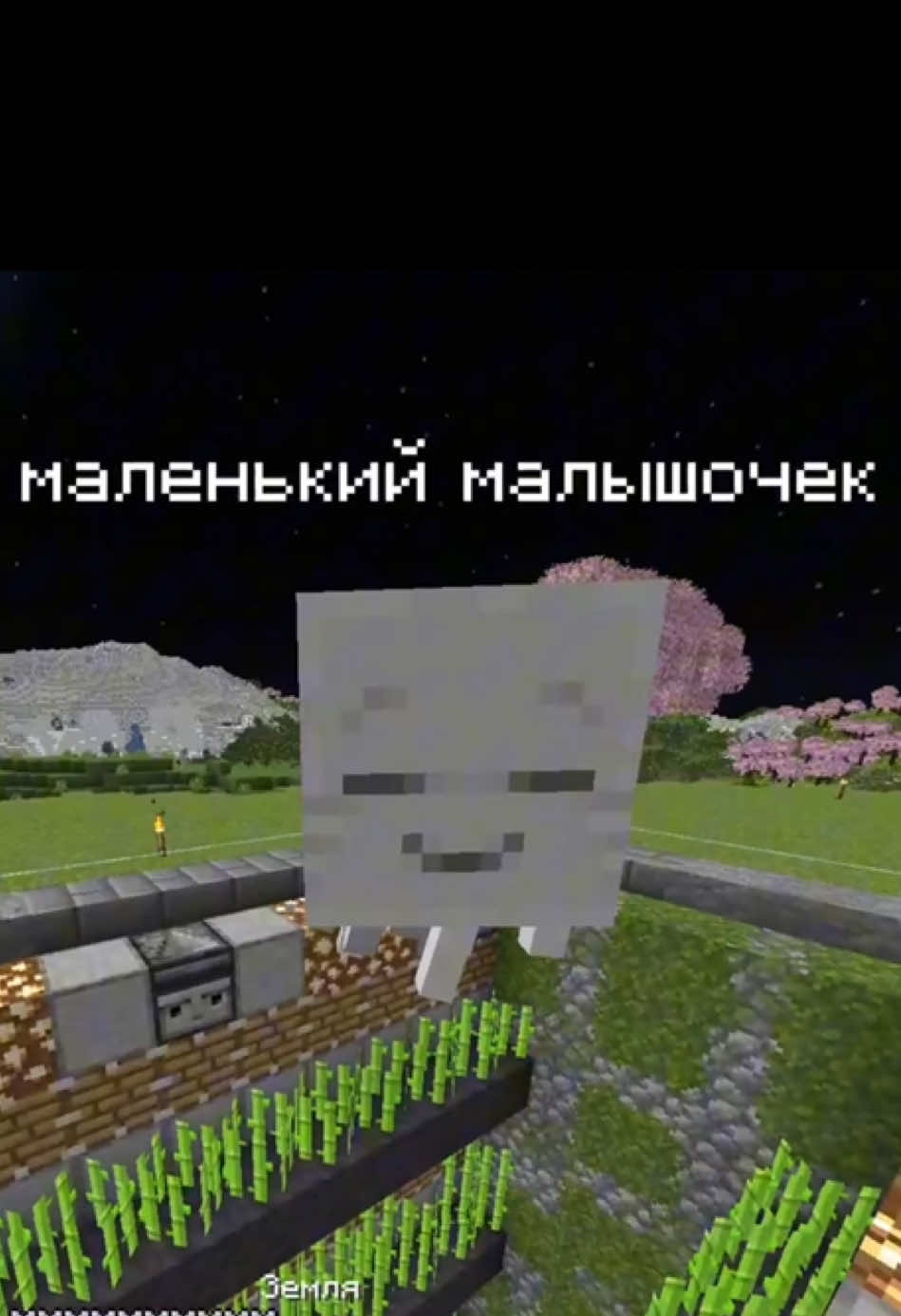 @Mewi