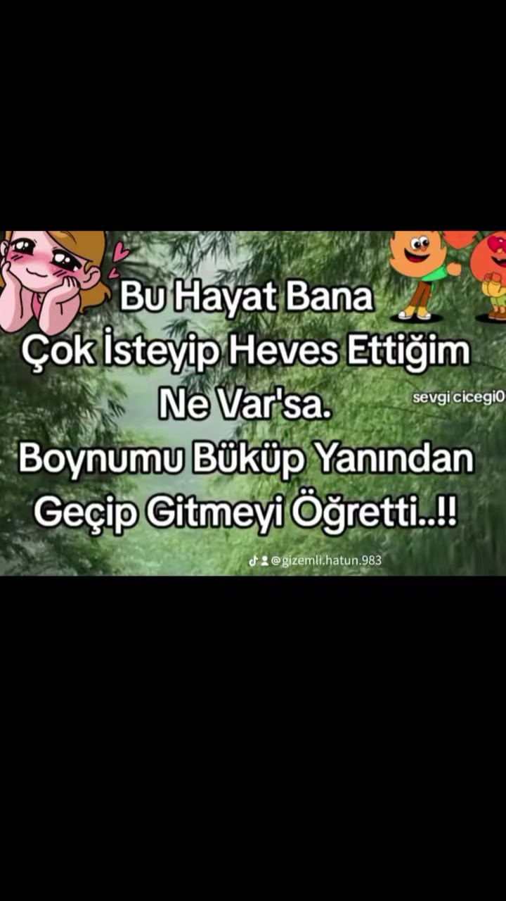 @ismailozdemir677