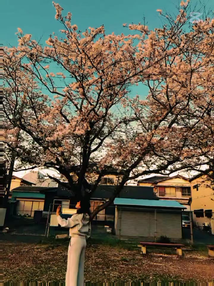 @🎀