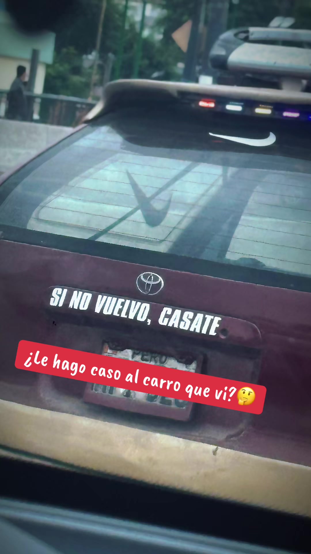 @Shirley Alexandra