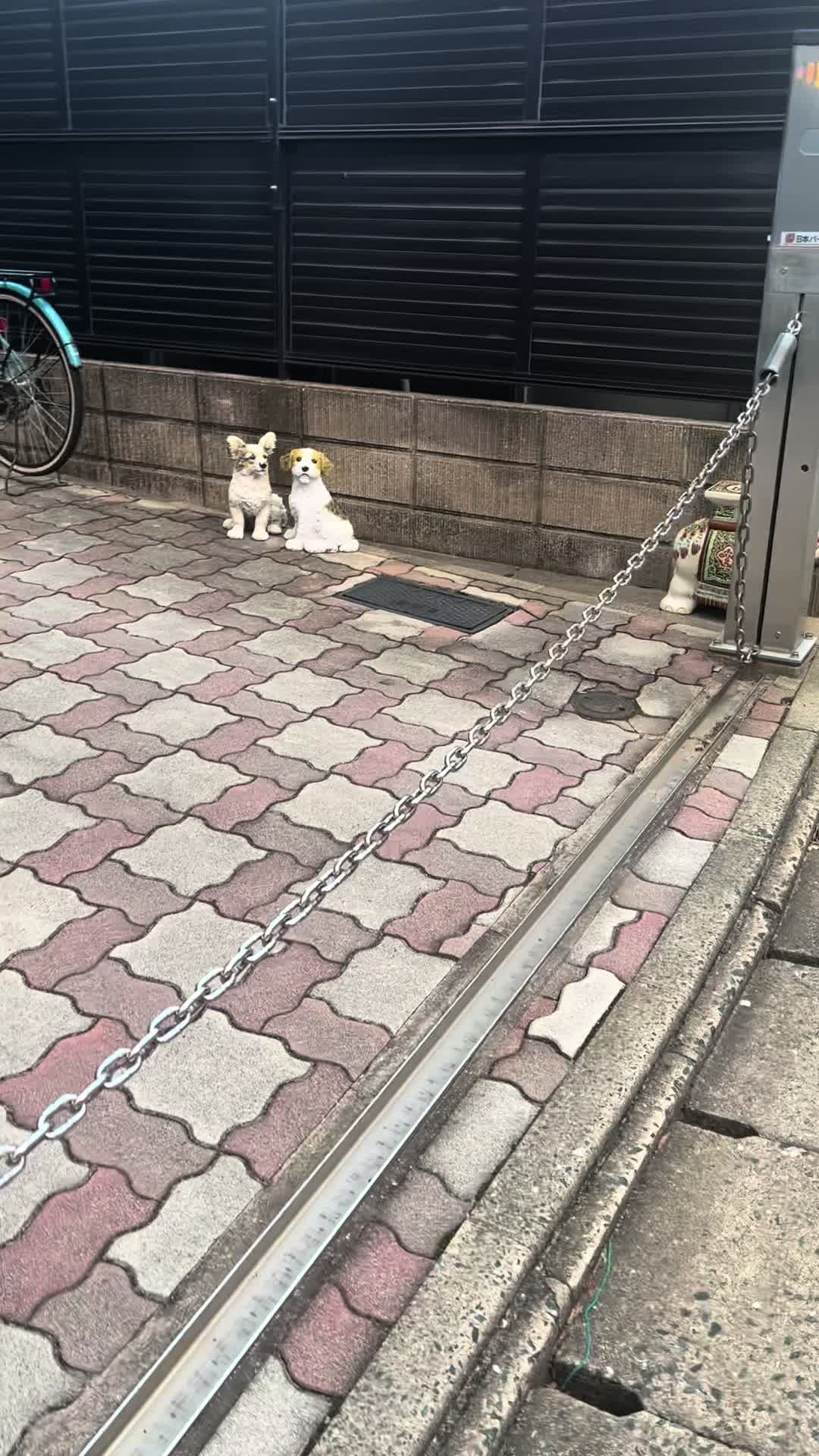 @ミニシュナらび