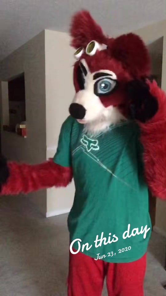 @🦊 Pete The Fox 🦊
