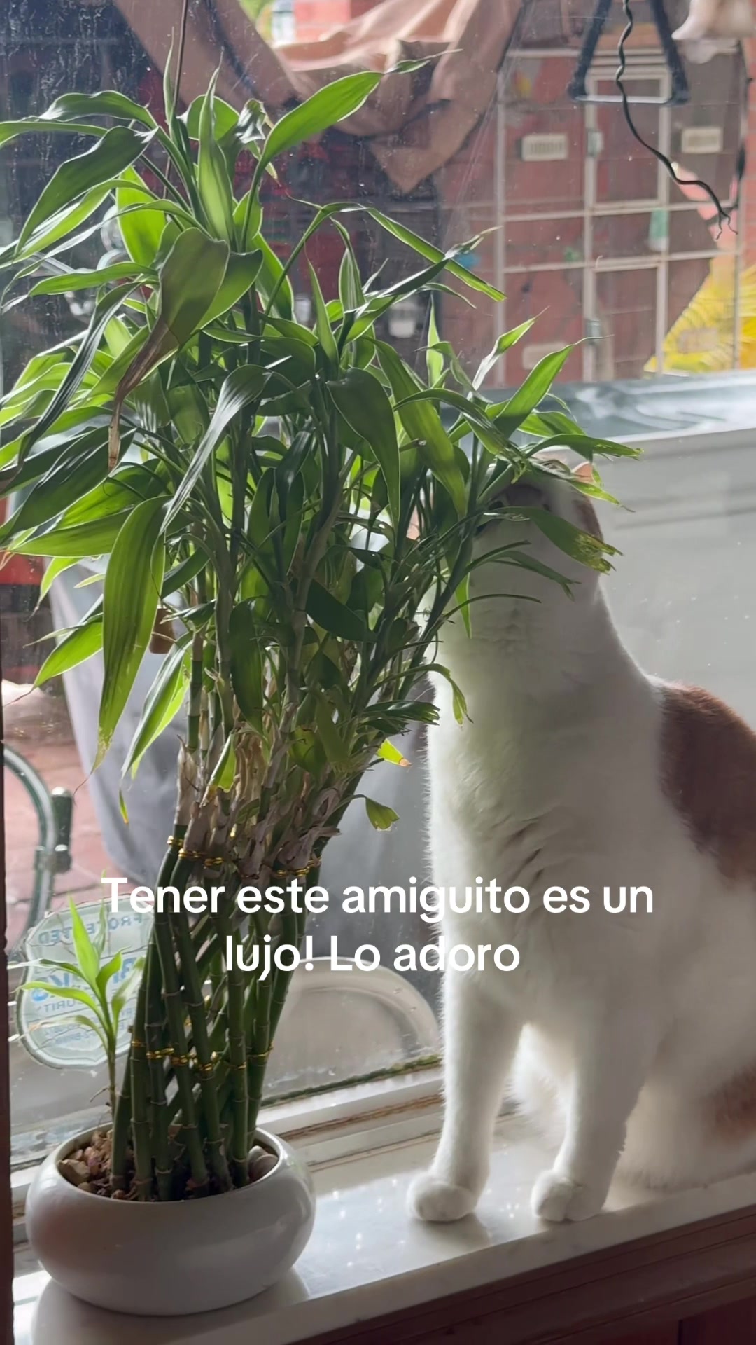 @Olgui59