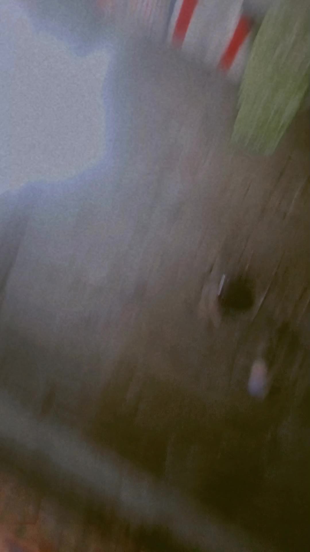 @꧁༺ɮʊɢʊ༻꧂