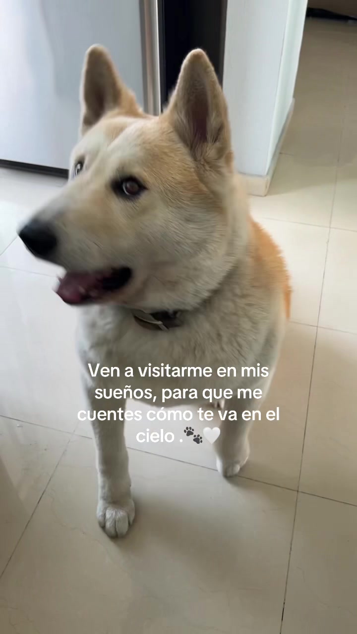 @Celeste