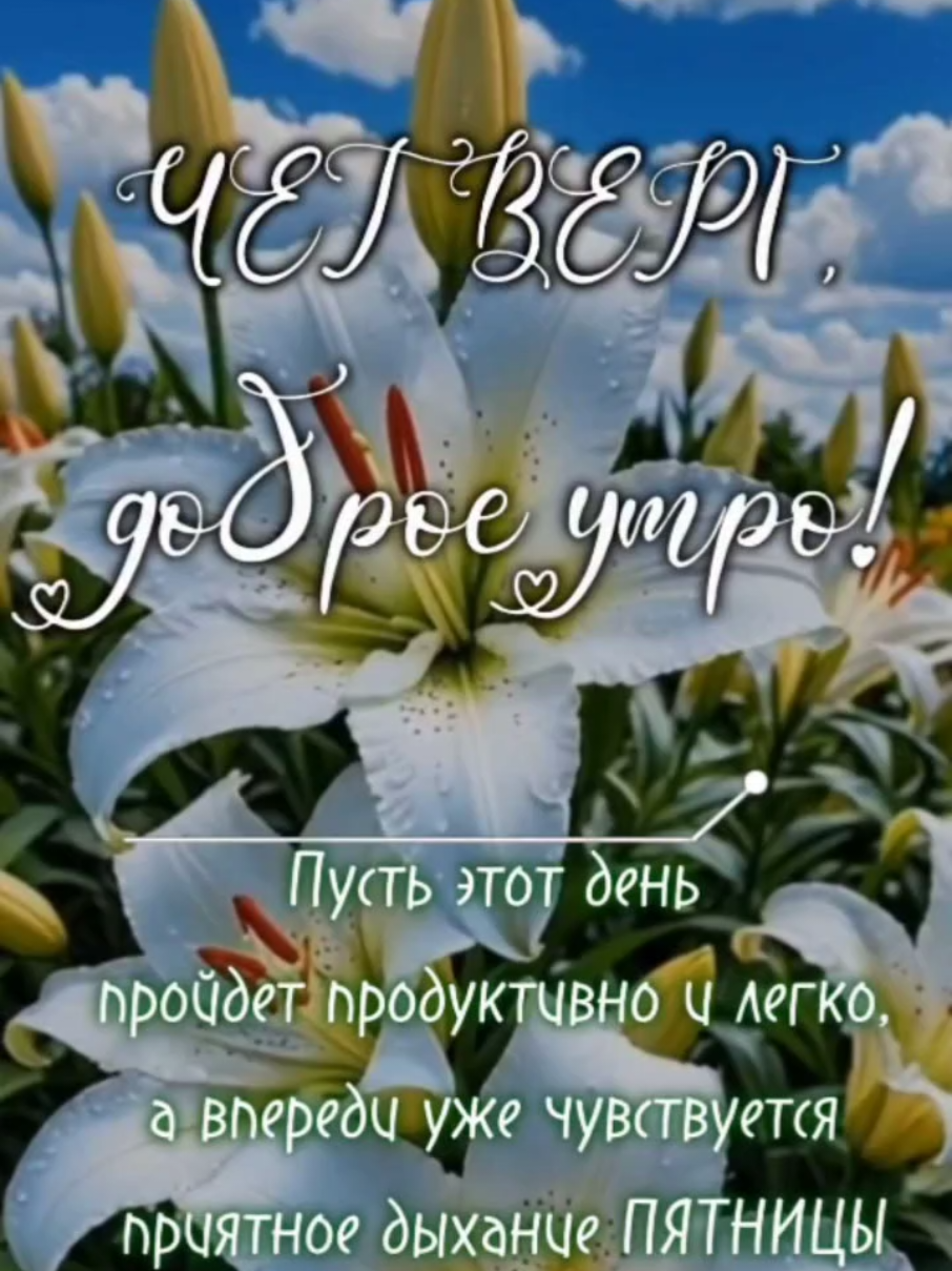 @Ольга