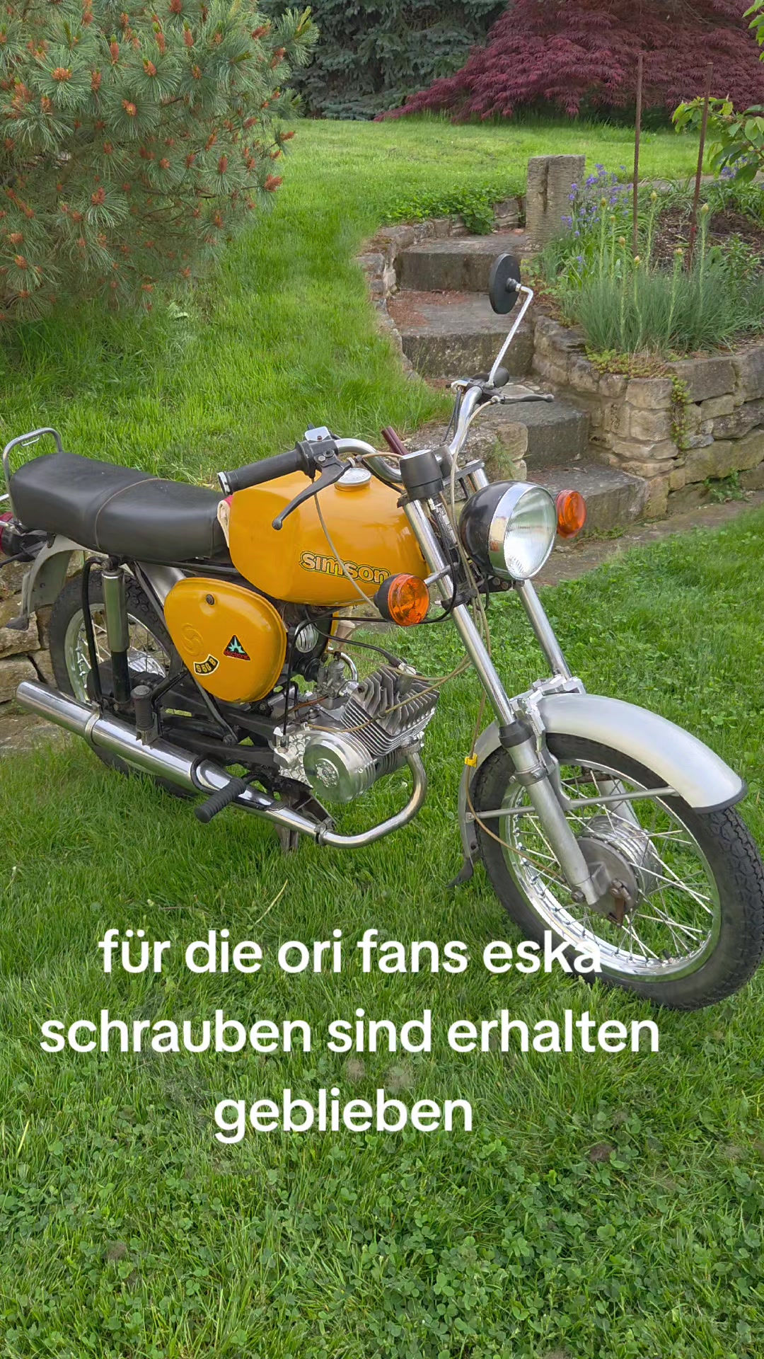 @Harley Simson