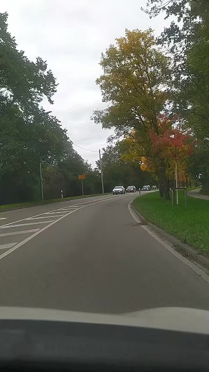 @Gülşen