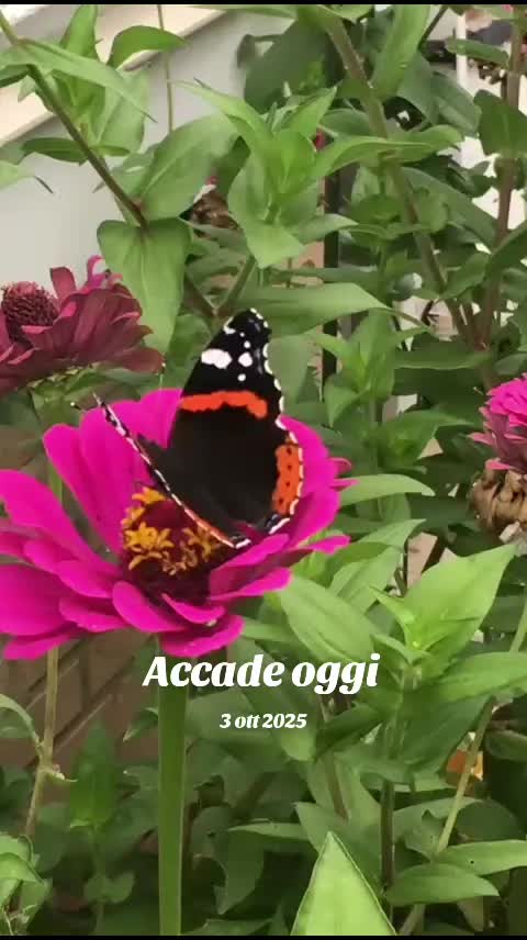 @Mary 958/2