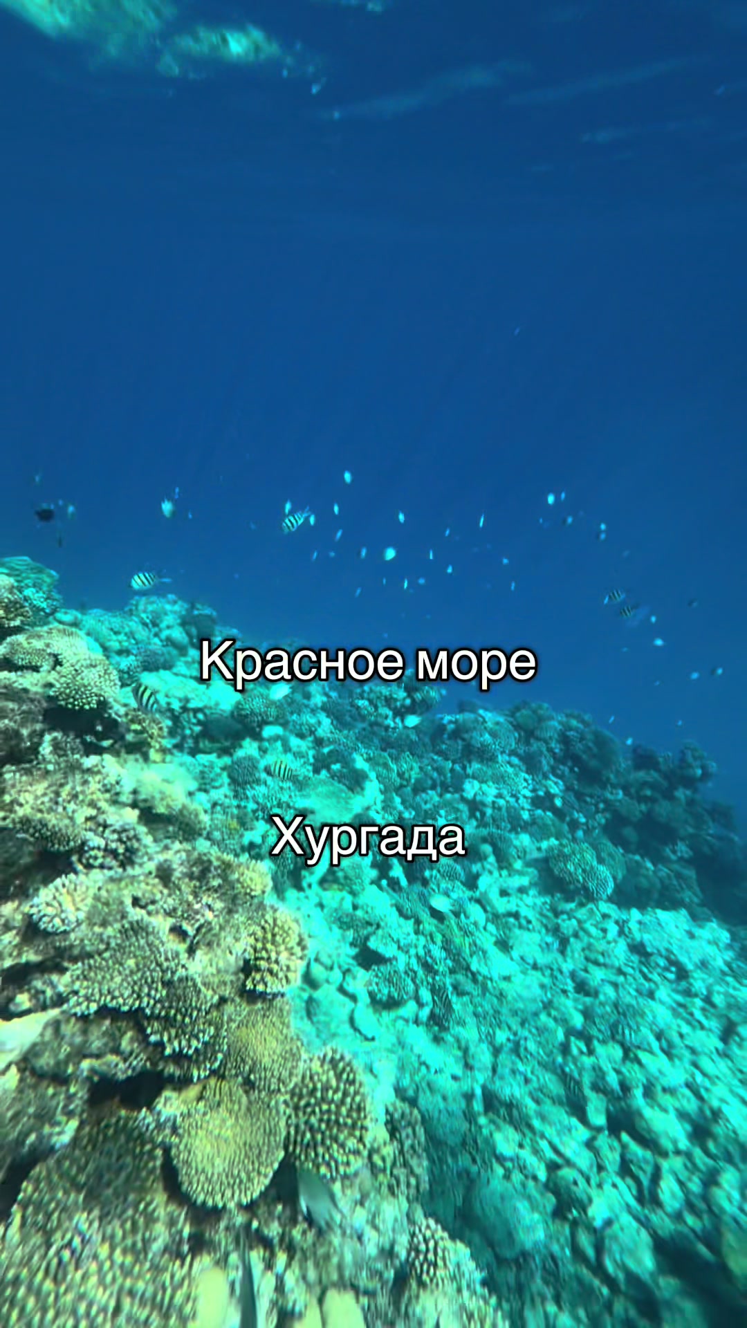 @Nastya 👱🏽♀️