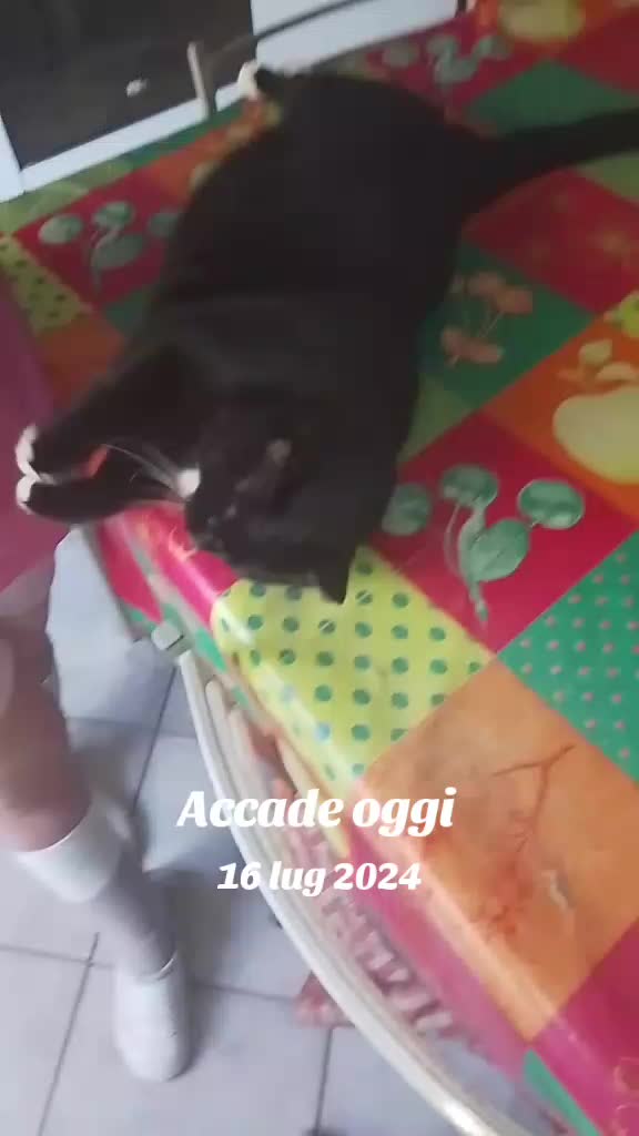 @Alessia Tognoli