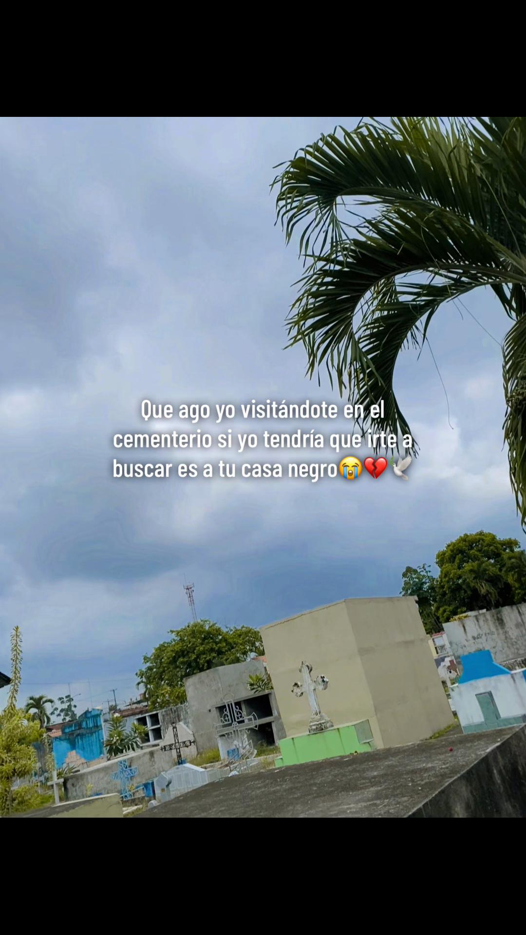 @Lilita❤️