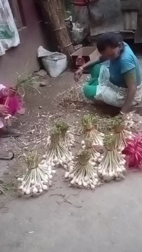 @THARU KATO