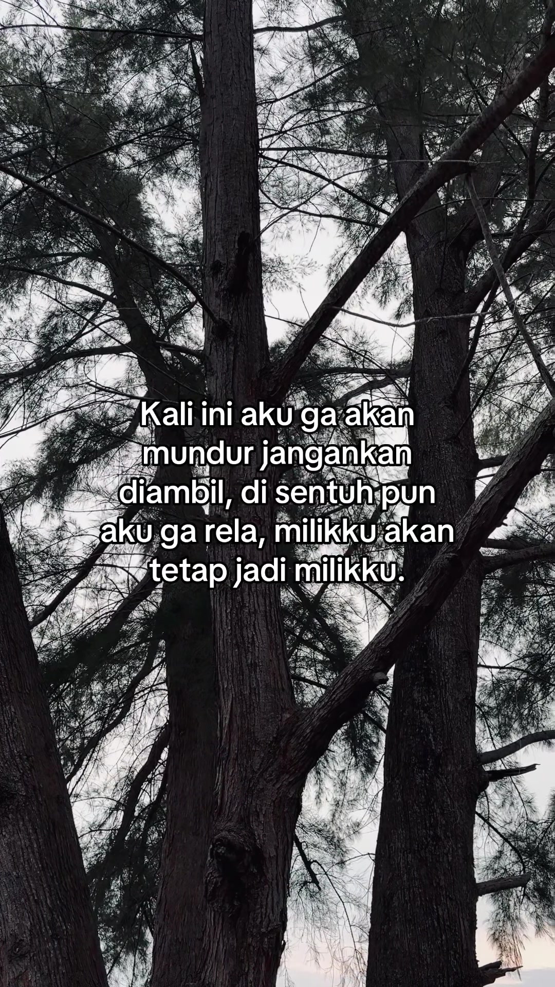 @Trinsomnia🦅