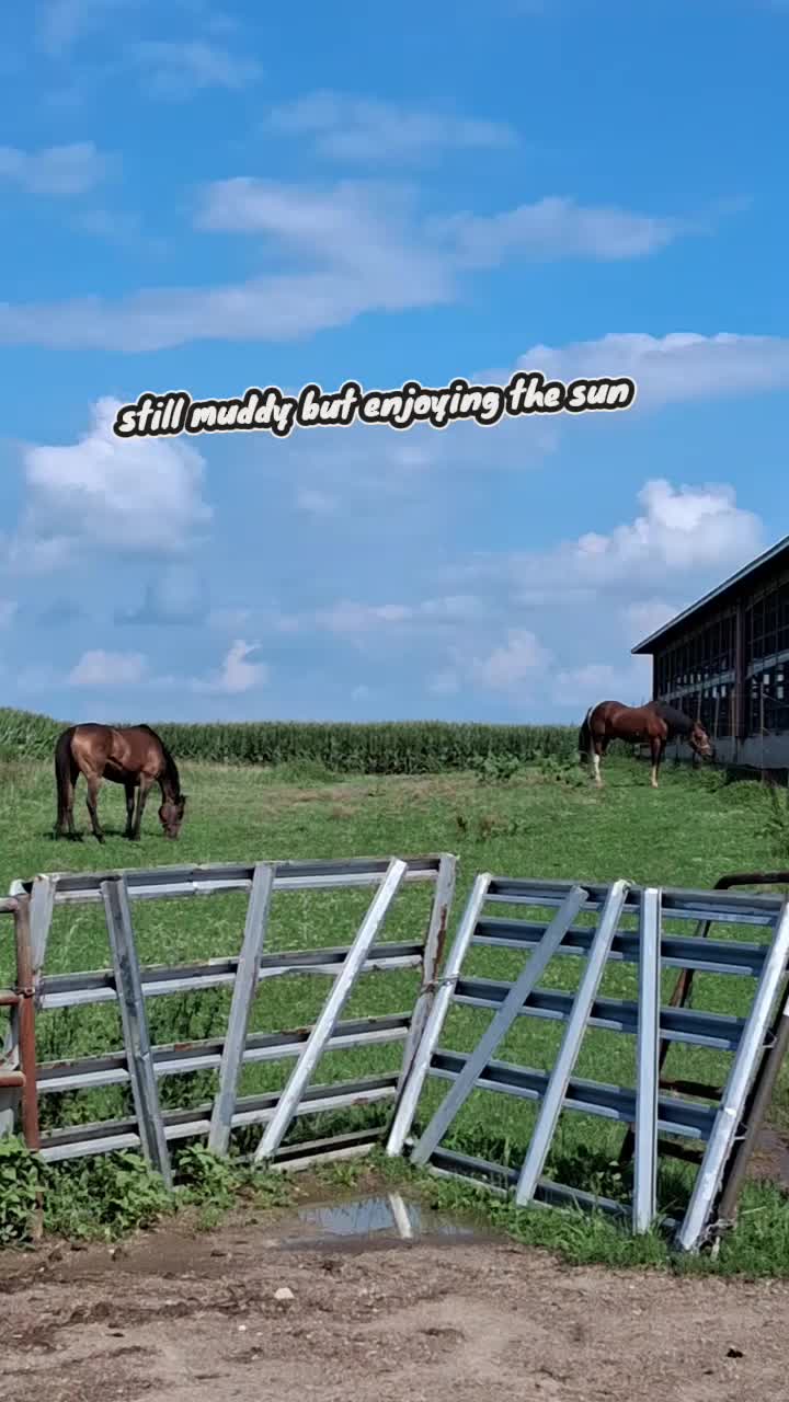 @Taylor | Sah{farm}m