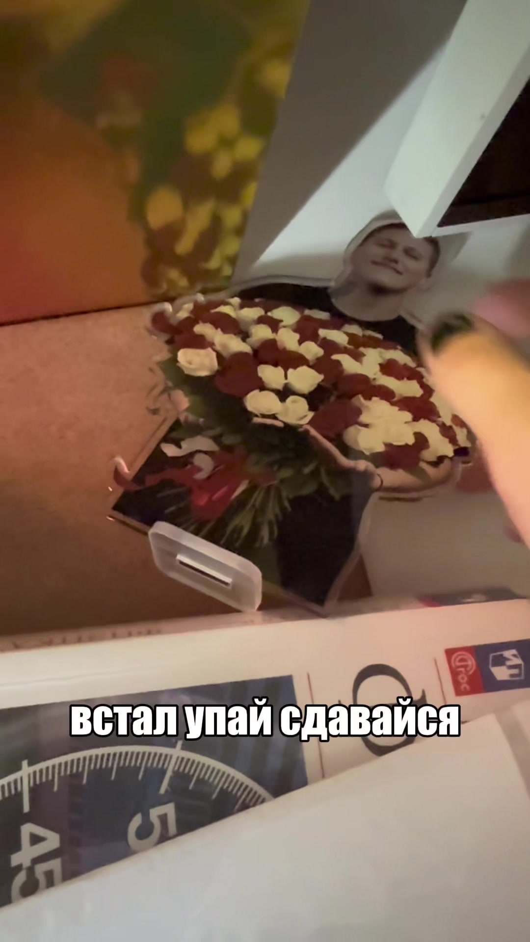 @мс полинк