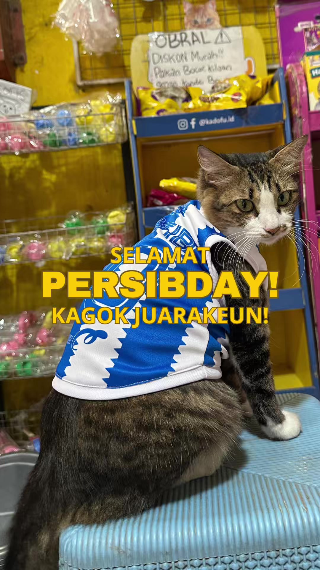 @bejo petmart