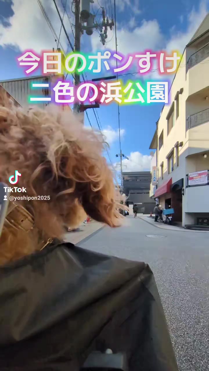 @よしポン弾丸ランナー
