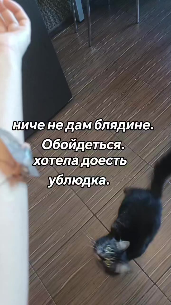@amusleninblyadina