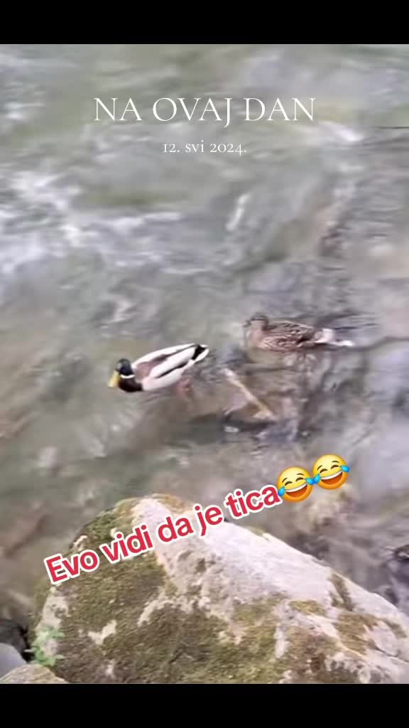 @💙Du&scaron;a od čoveka💙