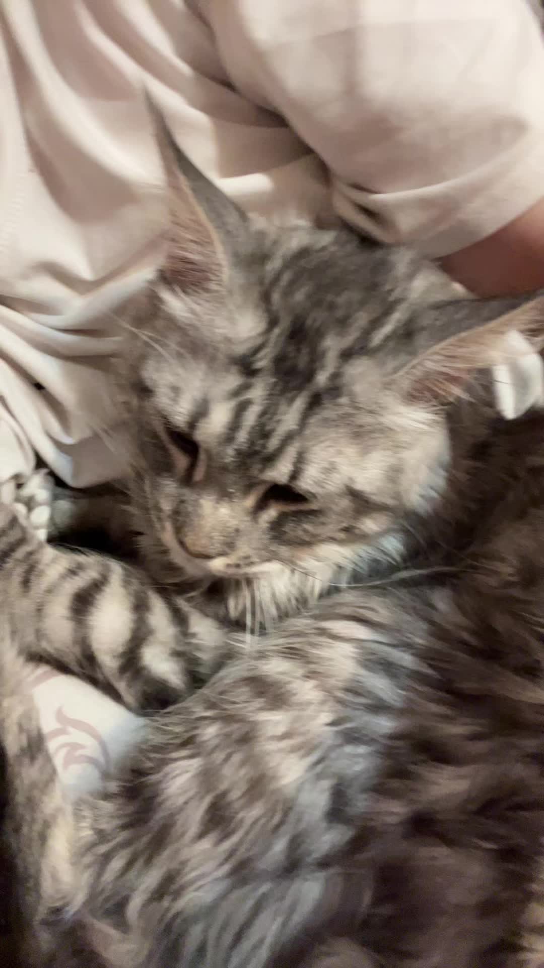 @Тоша💌