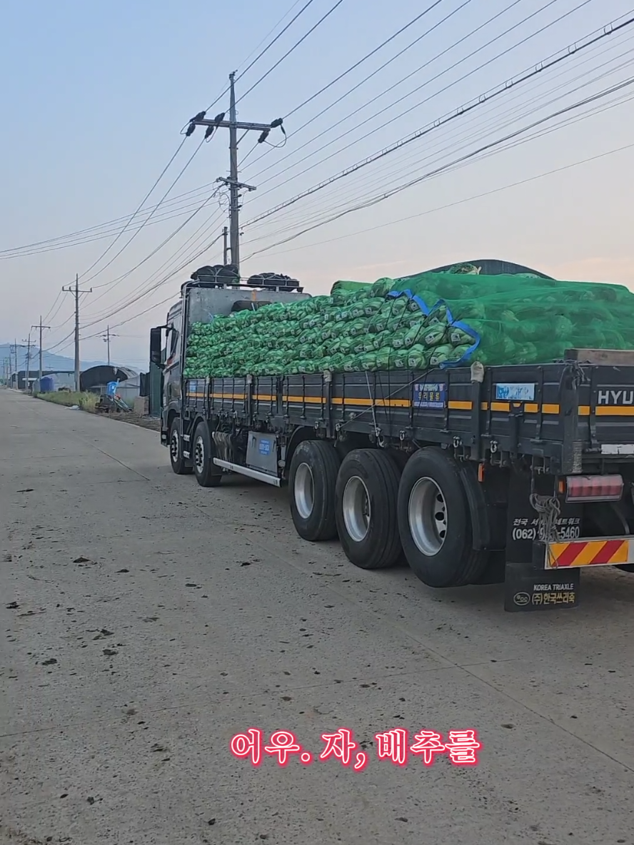 @트럭커보이 동하이🚛🇰🇷🚚