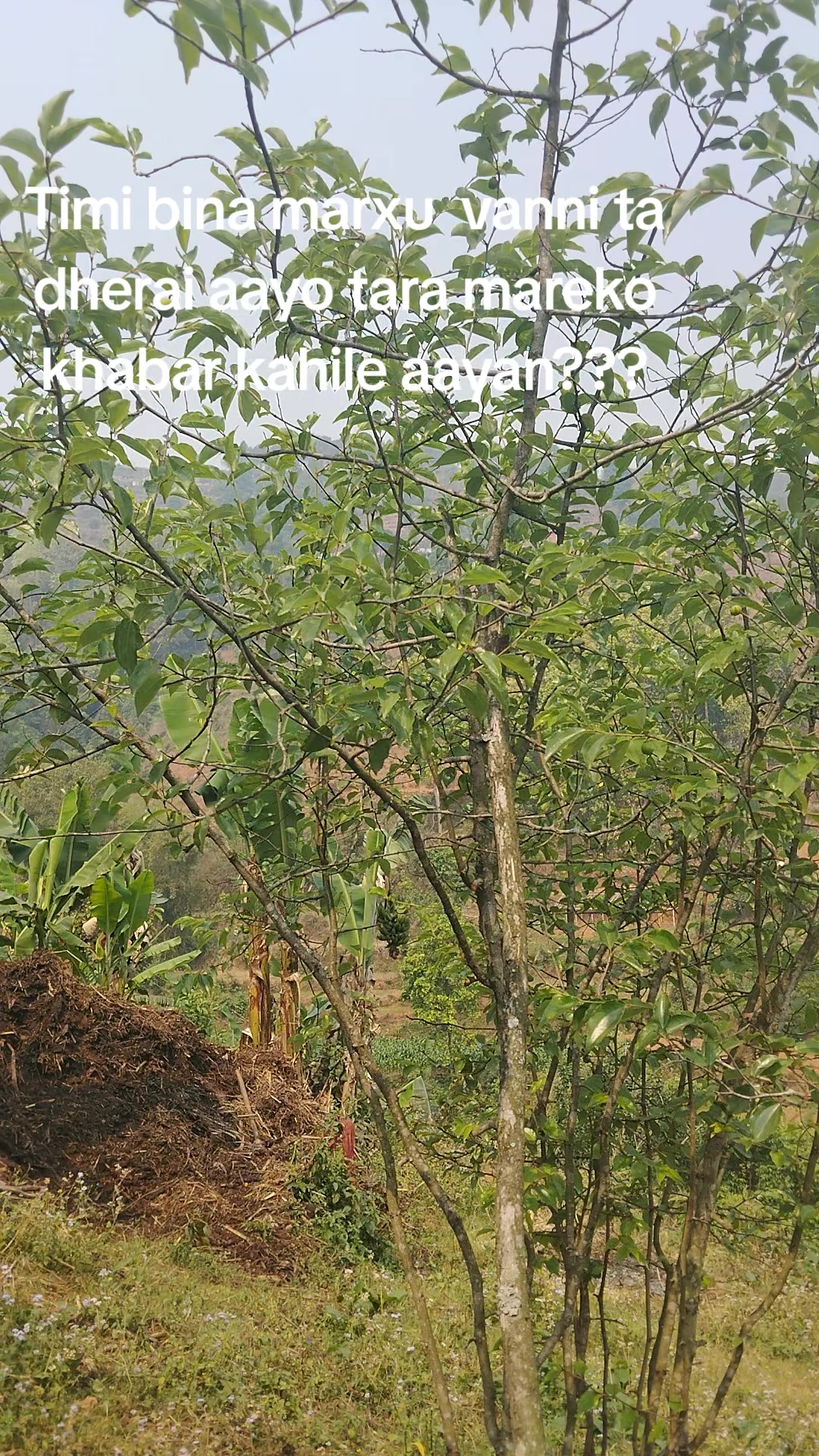 @Lama sanjeev