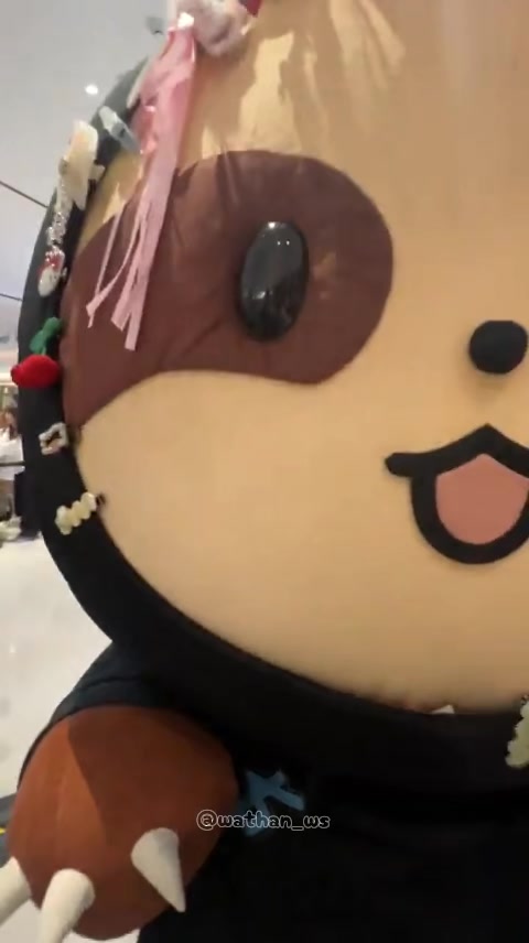 @ðŠ¥WSð°