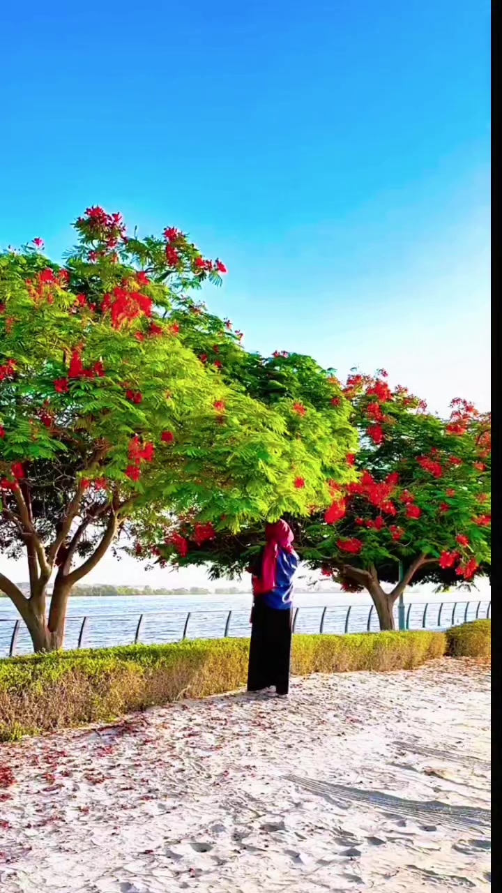 @🦋ഉമ്മയുടെ💖സ്വന്തം💖ജിന്ന്🦋