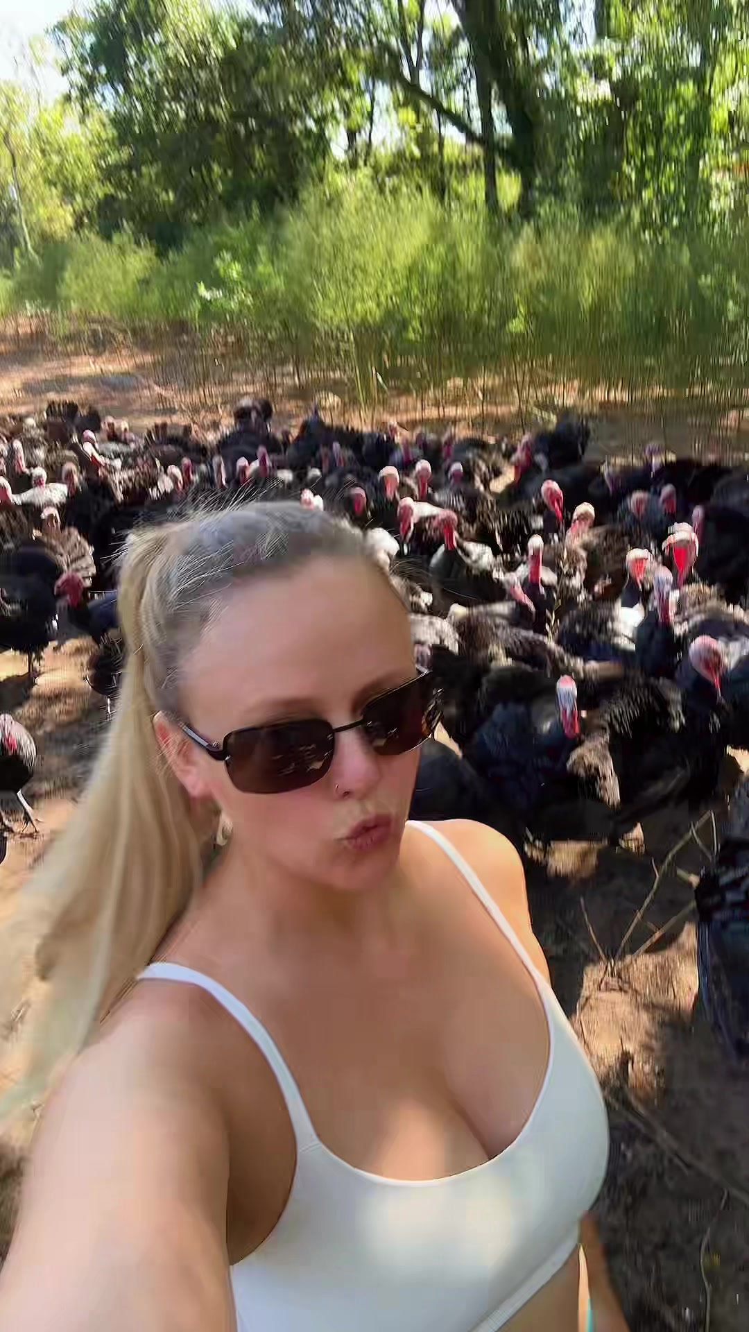 @farmerandtheharpiist