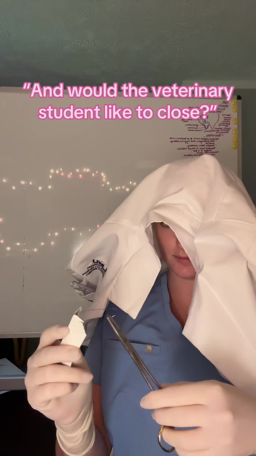 @futuredoctormegdvm
