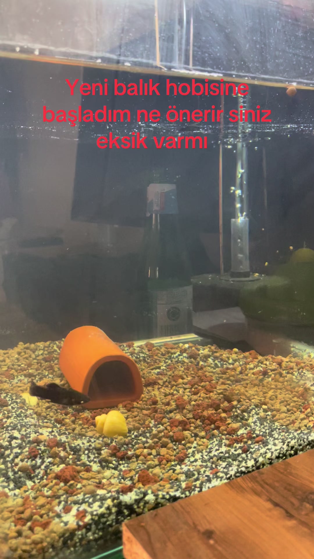 @Yasin