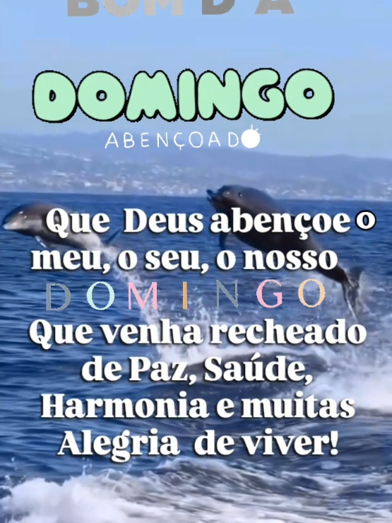 @Niube Resende💃👠📕🇧🇷🌻