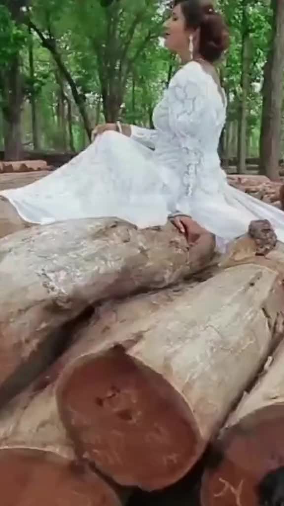 @संगीत संग्रह