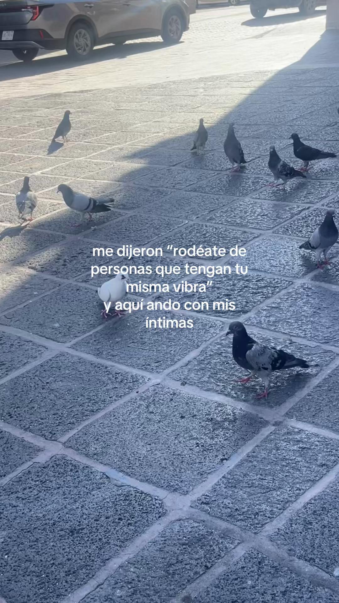 @𝓙