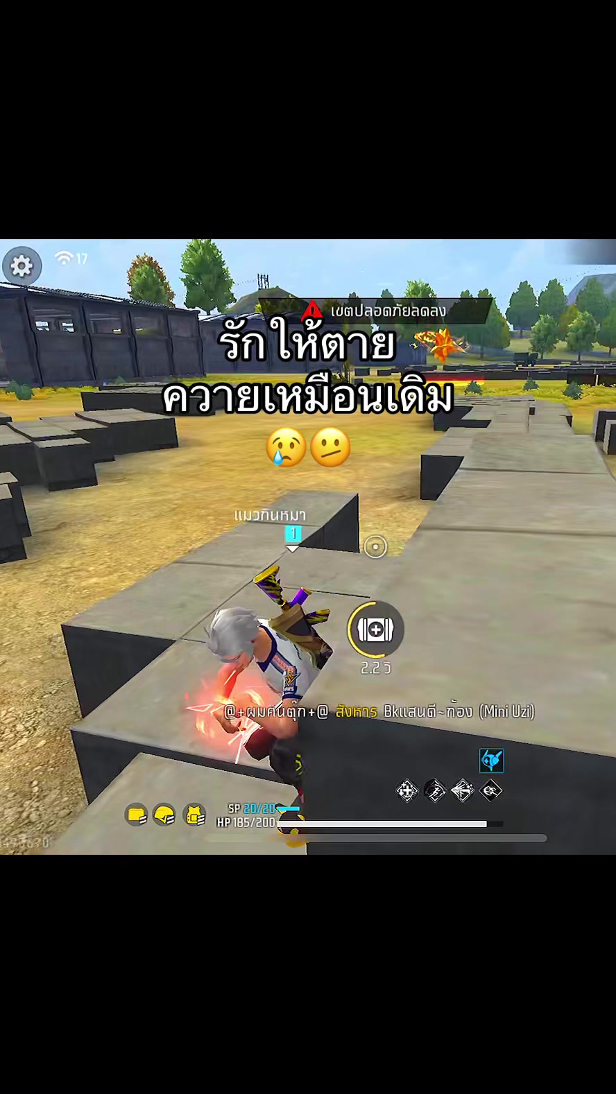 @แมวไม่มีเจ้าของ