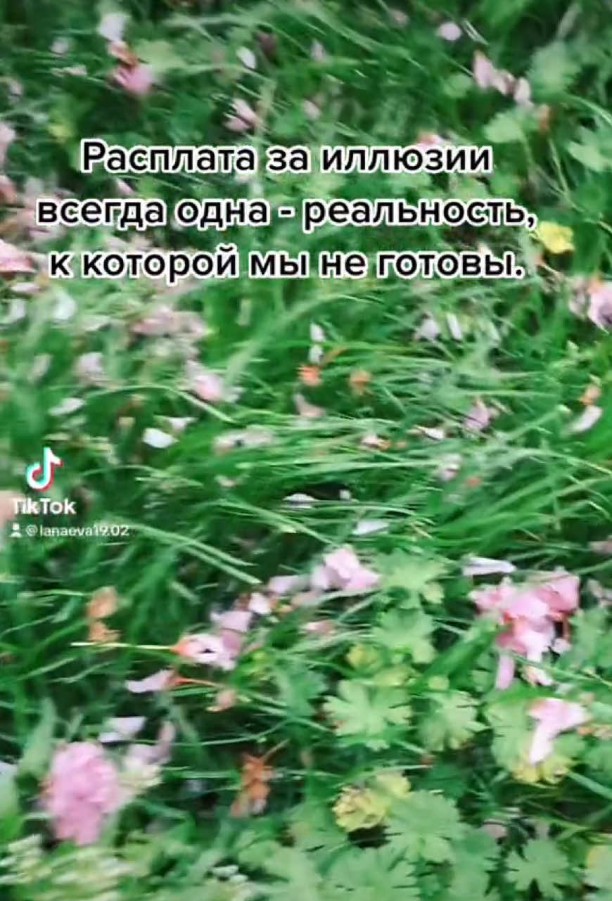 @Svetlana