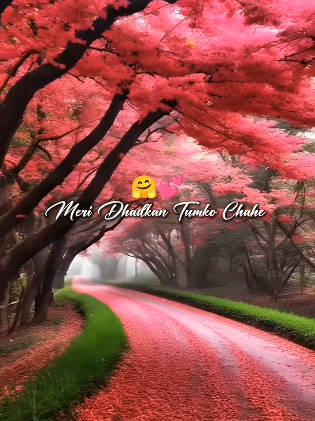 @🦋⃟Akash♡_Hun_Yr🖇️🤍