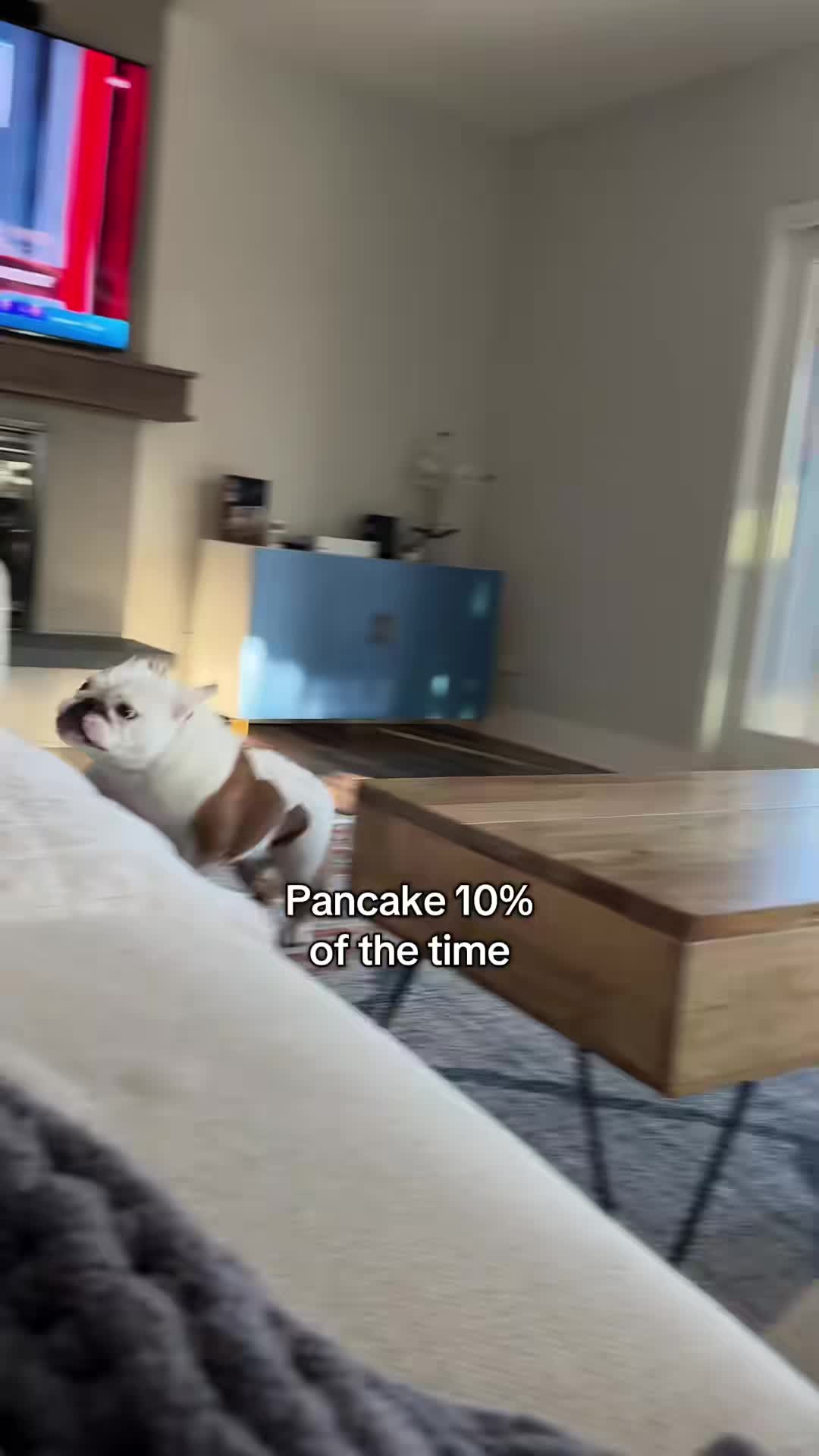 @Pancake 🥞