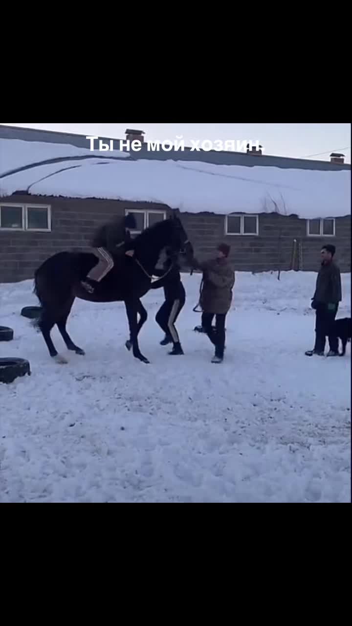 @🐎Ева🐎