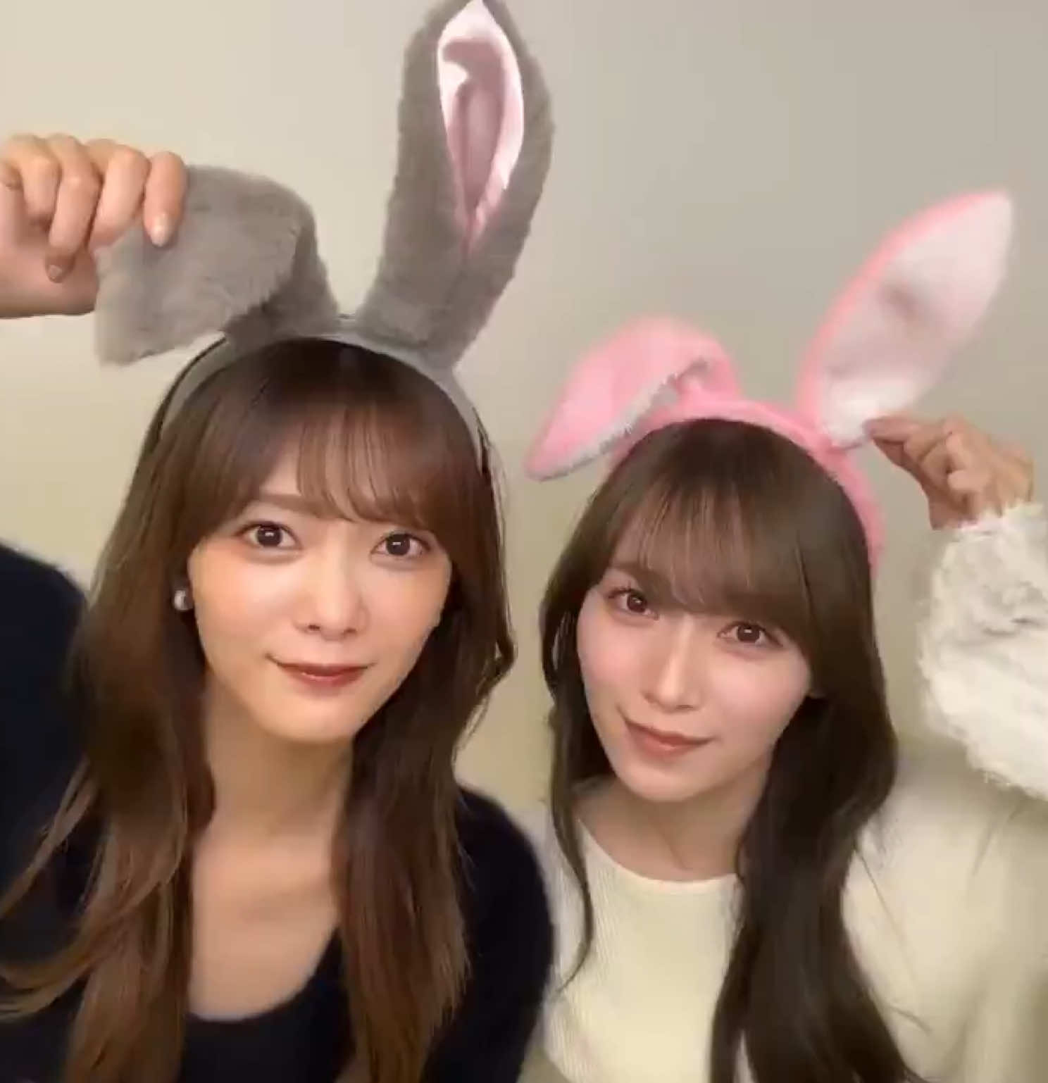 @LARA🐰