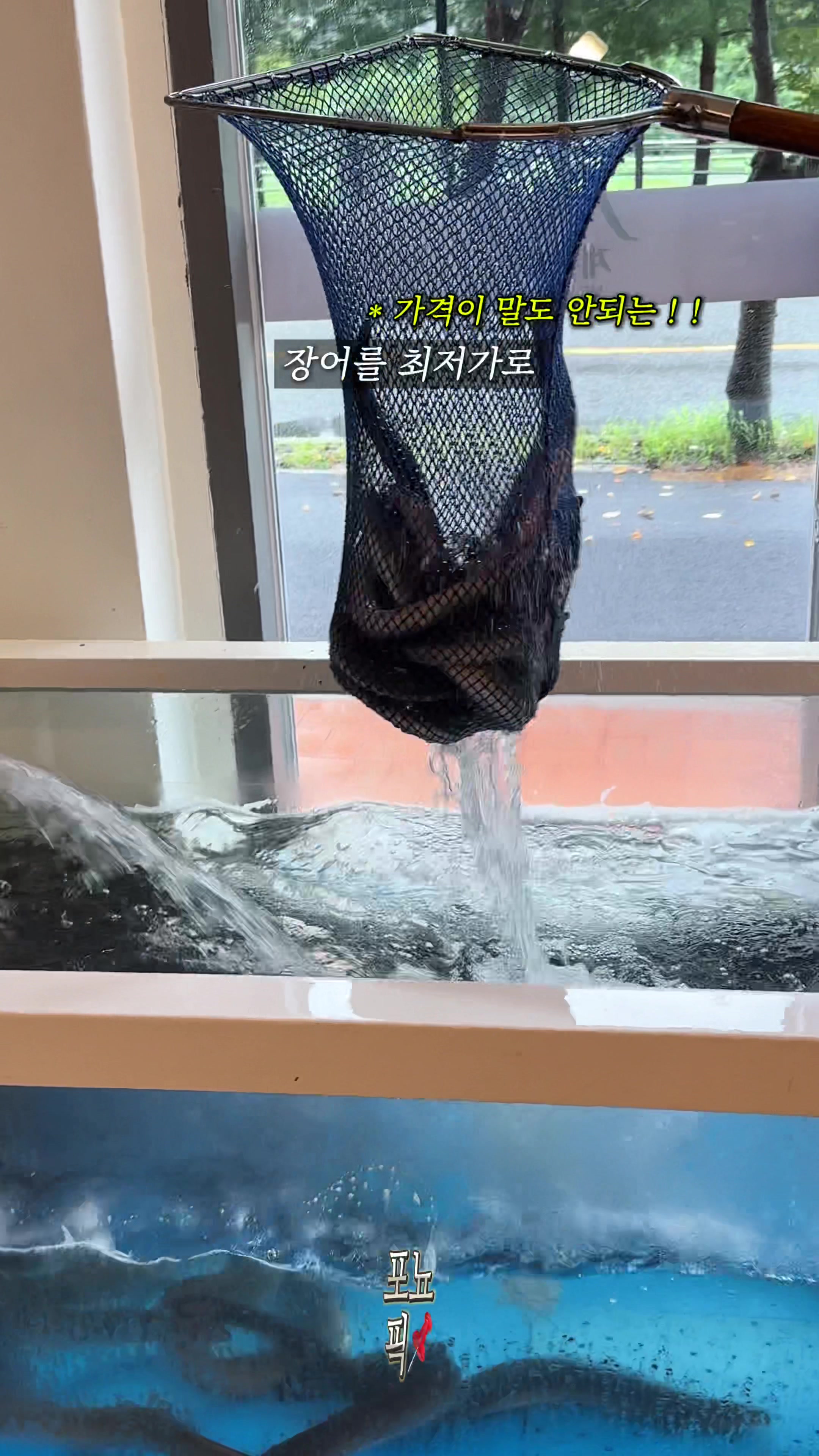 @포뇨픽ㅣ청주맛집&bull;대전맛집&bull;세종맛집
