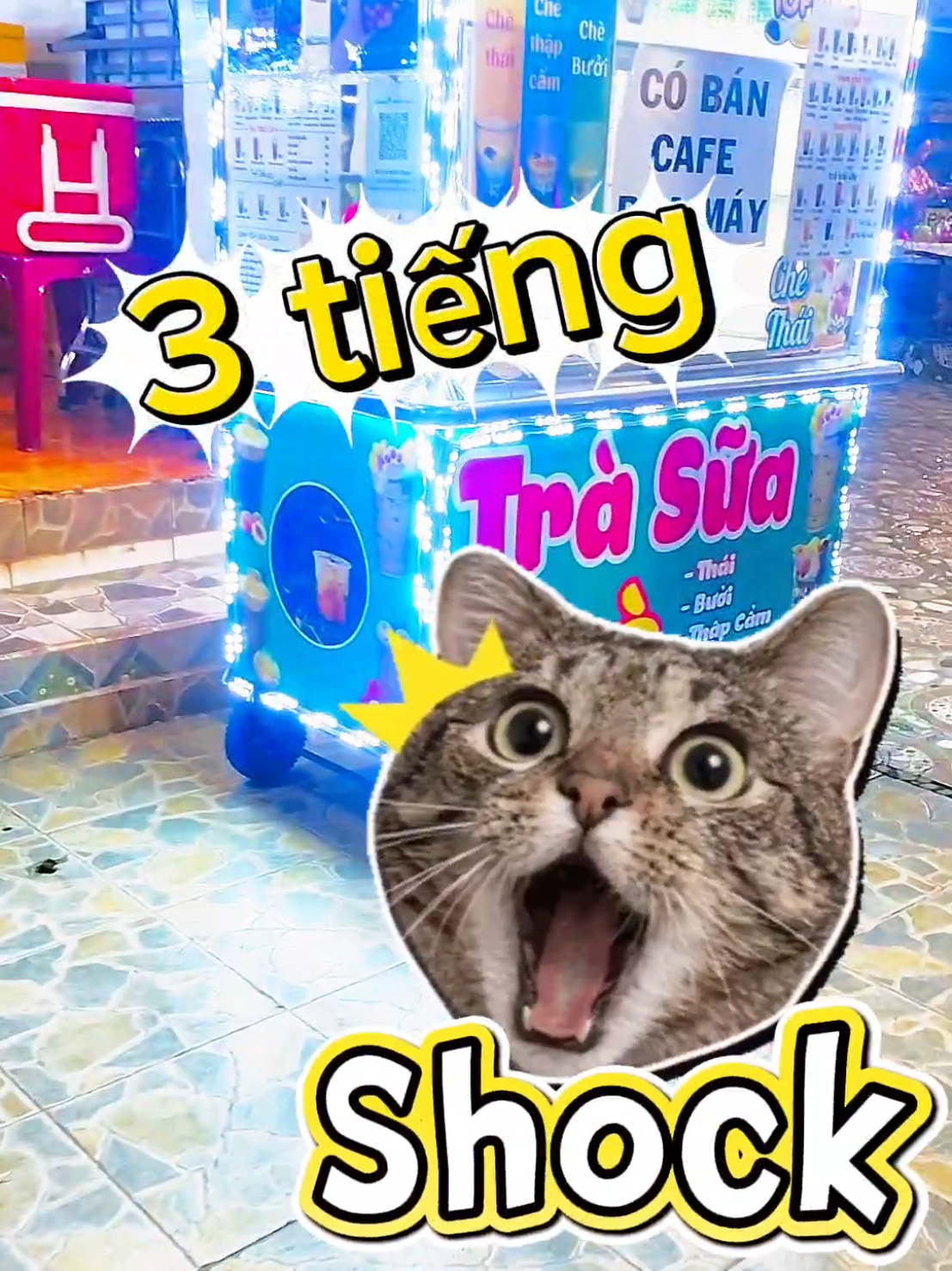 @TRÀ SỮA CHÈ THÁI MỘC MỘC