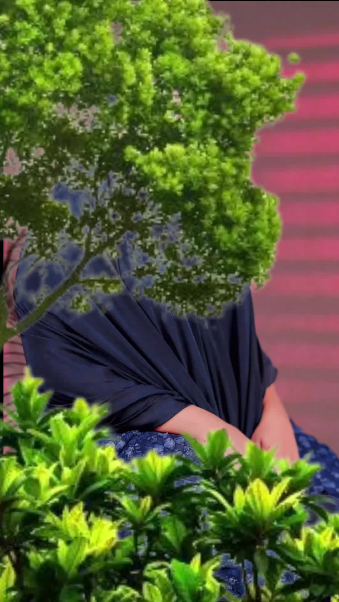 @boqorada habaraji