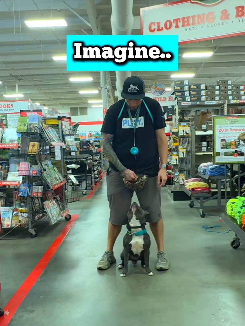 @Lost Boys K9 Academy
