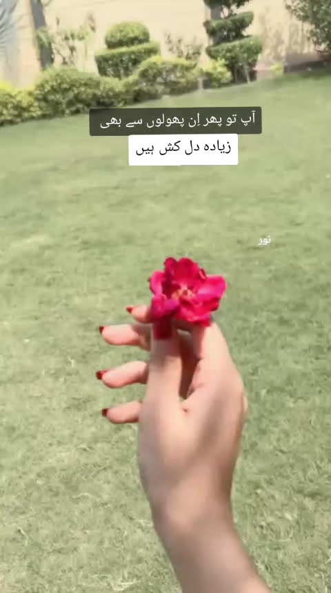 @Noor khan 👑💖