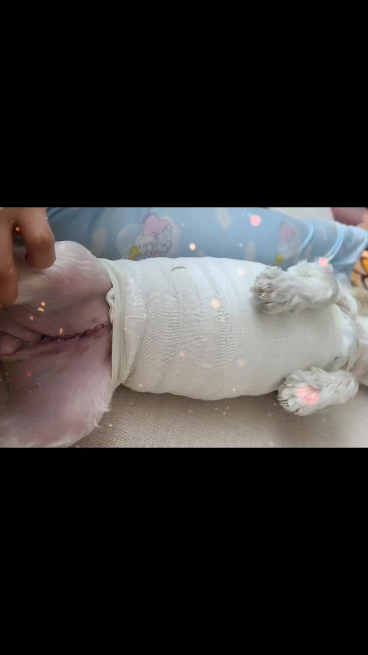 @아콩맘♡