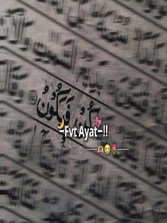 @𝐈𝐬𝐫𝐚𝐭_عشرت🌙💗🕊️