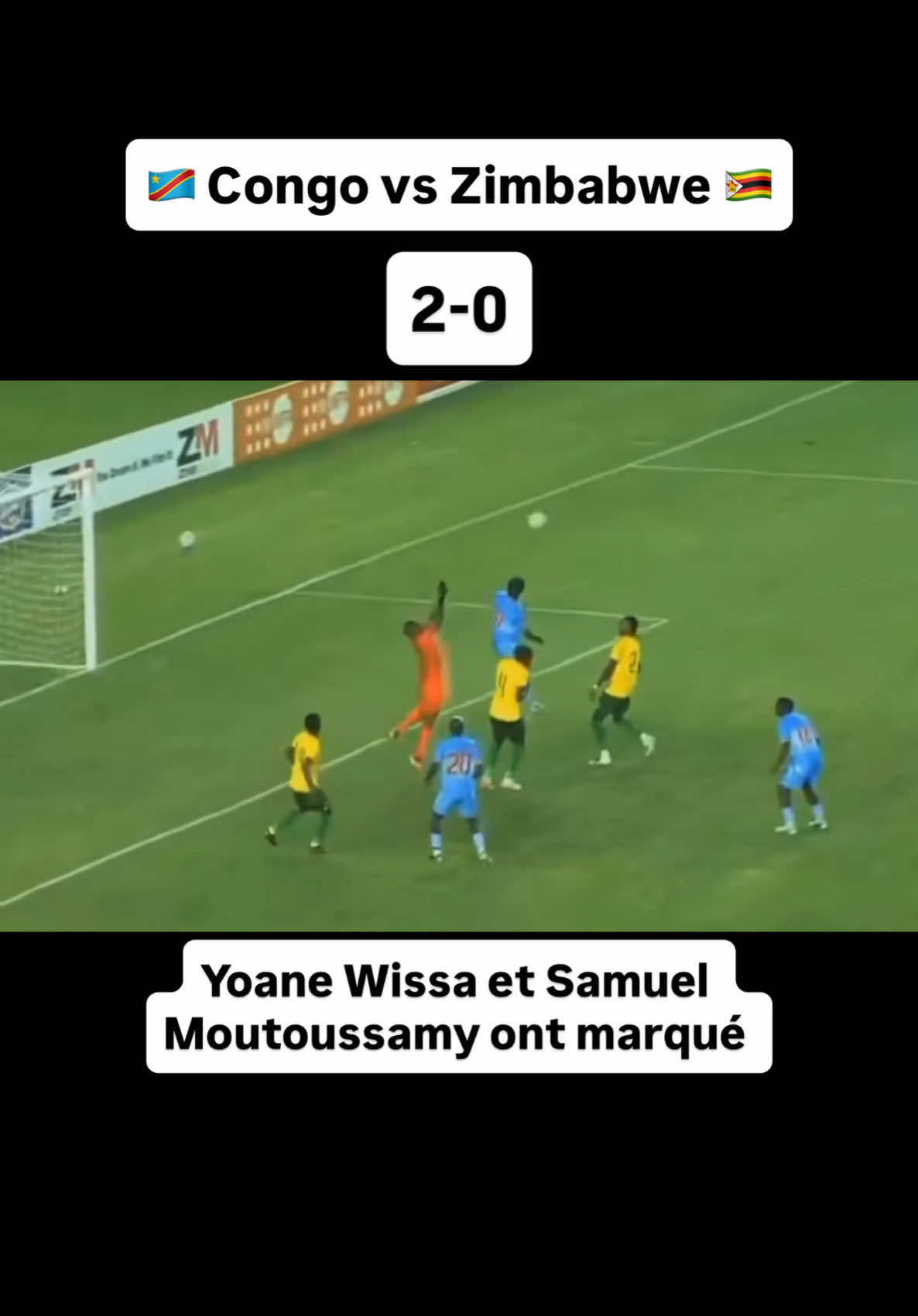 @congolese_dna